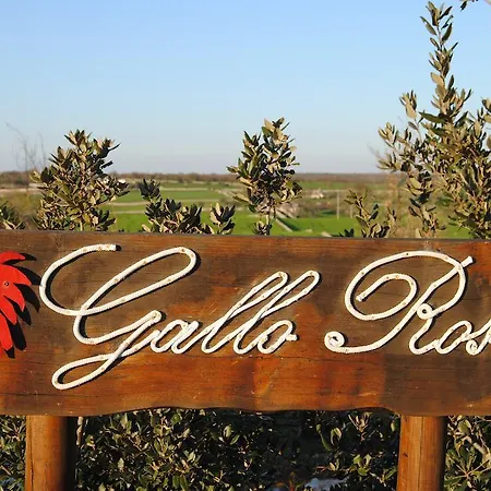 فندق مبيت وإفطار Trulli Gallo Rosso 3*