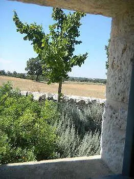 فندق مبيت وإفطار Trulli Gallo Rosso مارتينا فرانكا