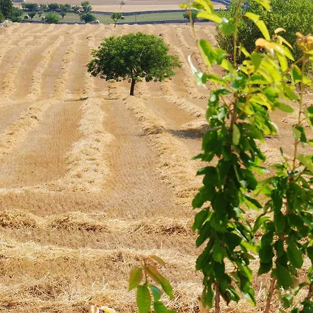 Trulli Gallo Rosso مارتينا فرانكا