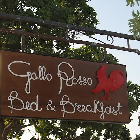 Trulli Gallo Rosso