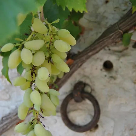 Trulli Gallo Rosso 3*